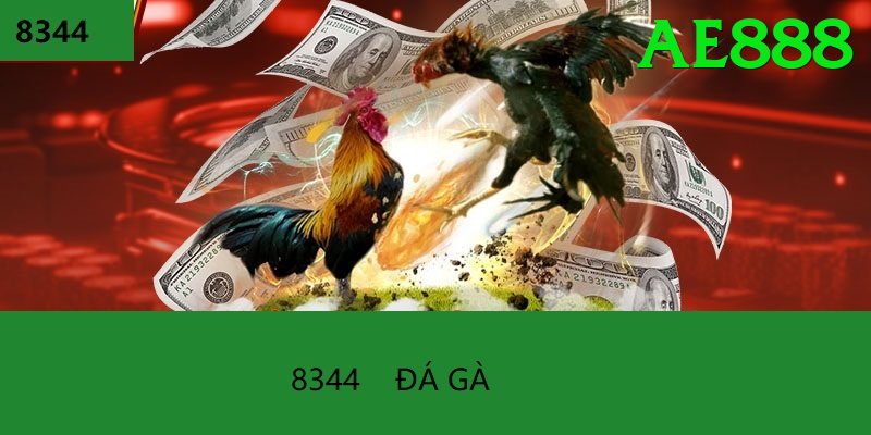 Đá Gà Trực Tiếp - ae888 - Thông báo